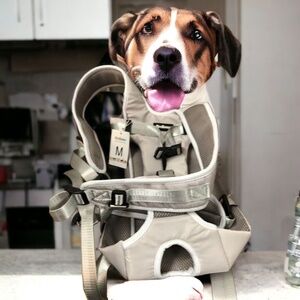 Pet Bonus, Pets,Dog harness,Backpack type harness transporting dogs,Grey,Sz M.!